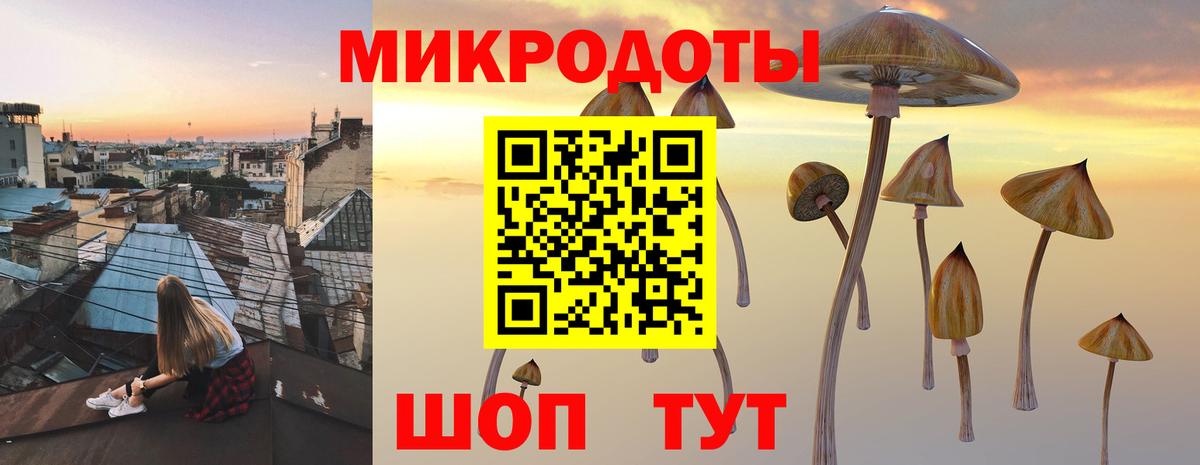 Галлюциногенные грибы мицелий  Галлюциногенные грибы Magic Shrooms  Вход с VPN  Гурьевск 